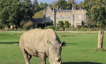 Cotswold-Wildlife-Park-and-Gardens