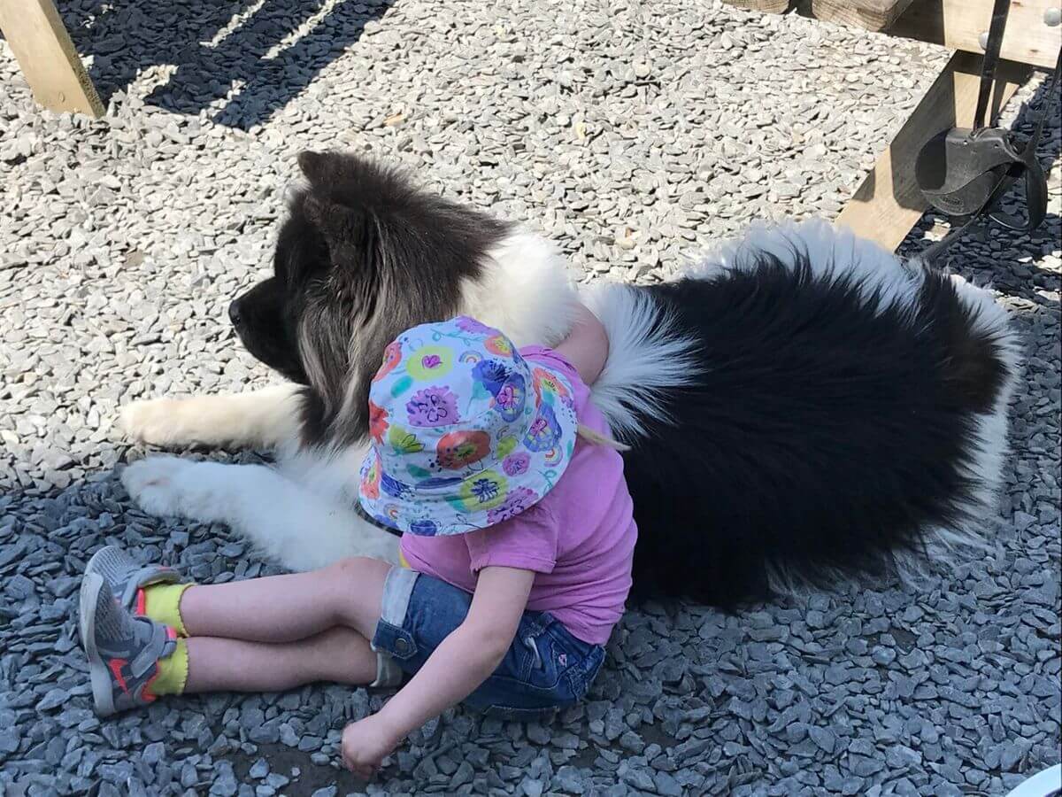 A child and dog becoming best friends